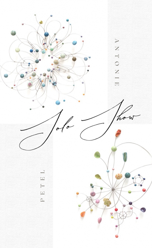 Antoine Petel Solo Exhibition