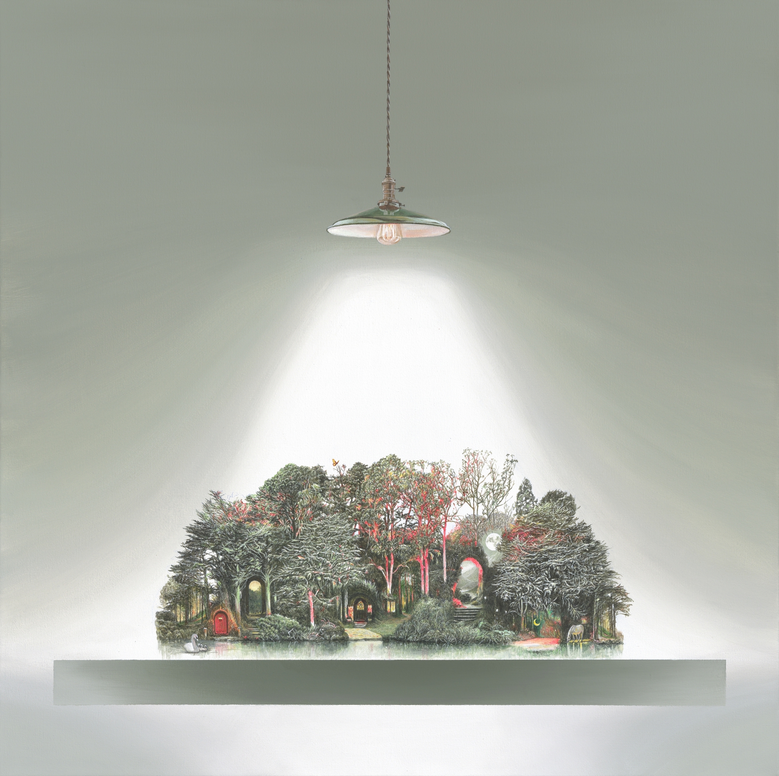 Where Light Decides to Stay