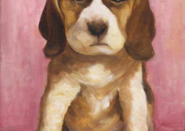 那塊肉我可以幫你喔！