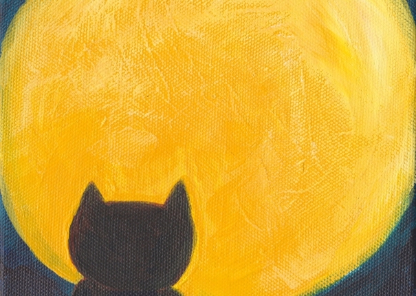 小胖貓思念故鄉