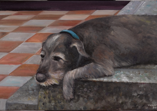 老狗的退休生活