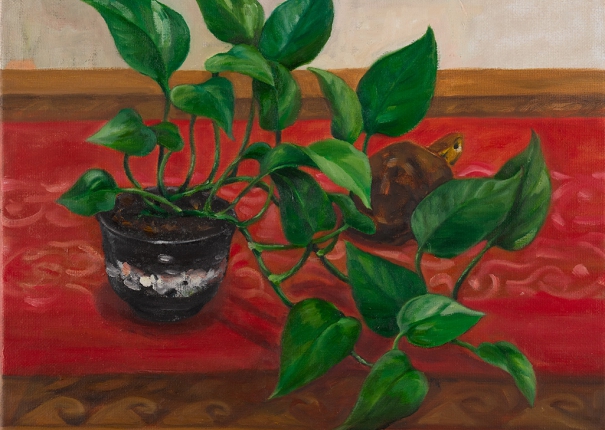 你不在家的時候只有他陪我