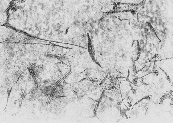 後當代表現主義 #13 W(圖)