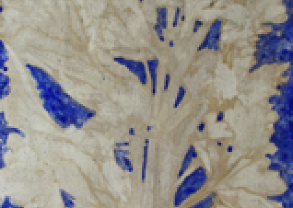 植・樹－小品 - 4(圖)