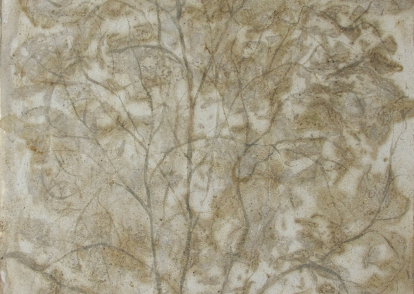 植・樹－雅士 - 1(圖)