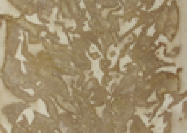 植・樹－蘊形 - 1(圖)