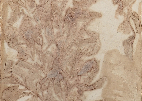 植・樹－悠然 - 2(圖)