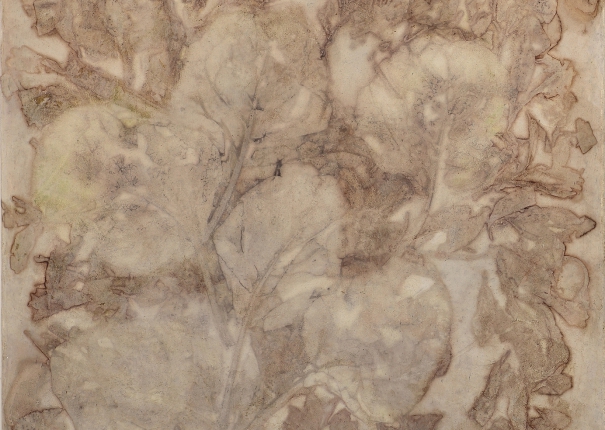 植・樹－隱士 - 4(圖)