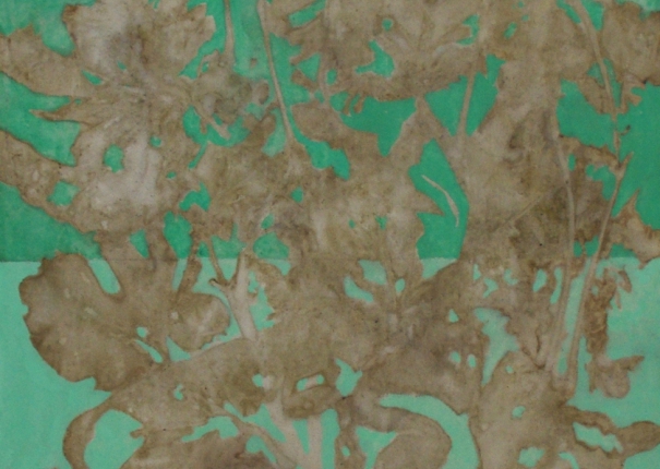 植・樹－繁茂(圖)