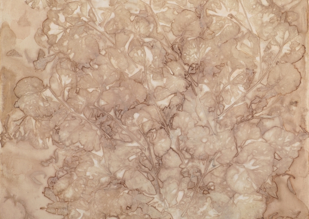 植・樹－精華 - 5(圖)