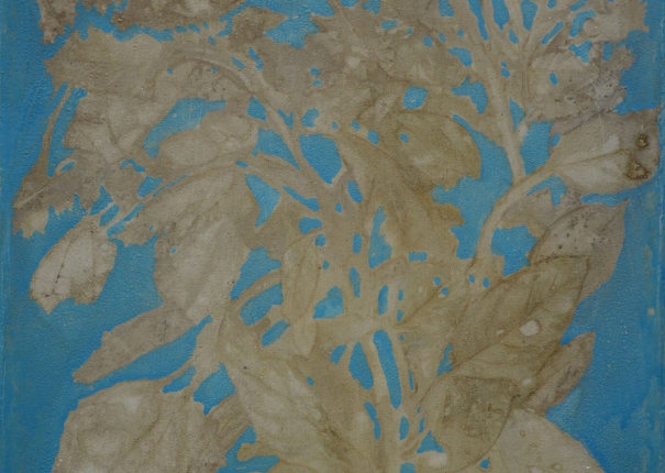 植・樹－迎光 - 2(圖)