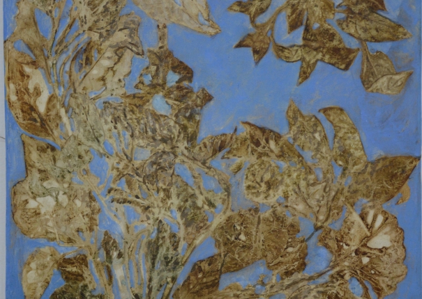 植・樹－含光 - 4(圖)