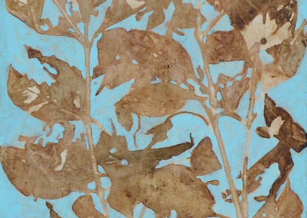 植・樹－如詞 - 4(圖)