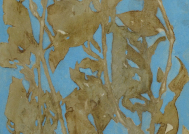 植・樹－含光 - 1(圖)