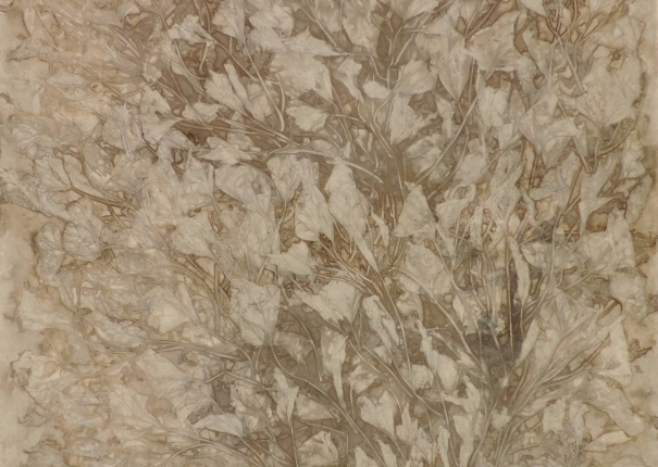 植・樹－菁華 - 10(圖)