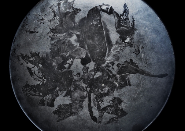 後當代表現主義 #67(圖)