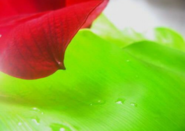 獨唱~可以水漾輕柔