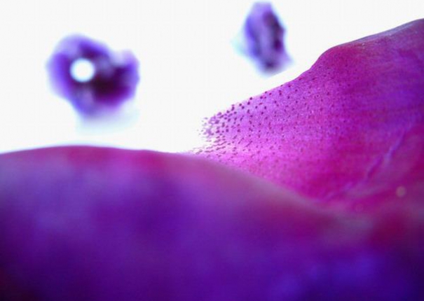 著墨無須多.溢滿形之外..我是藍天.我是飛雲