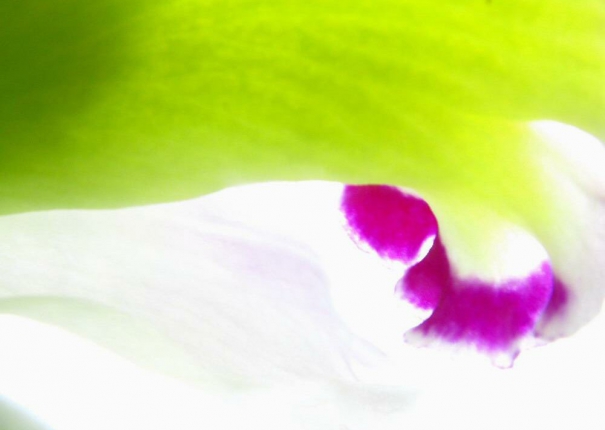 請跟我來…那是道路那是芬芳