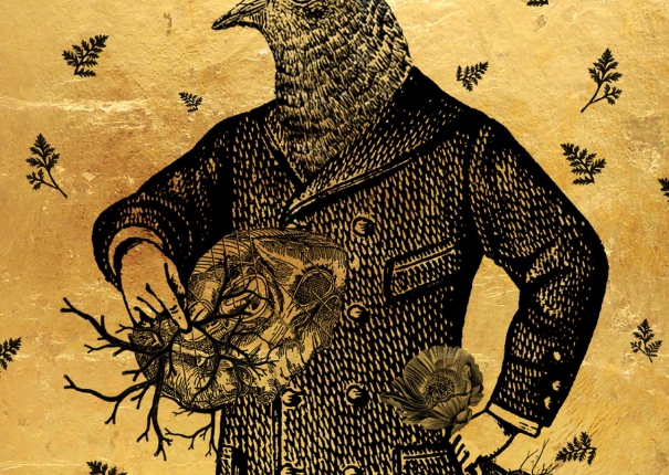 Pigeon