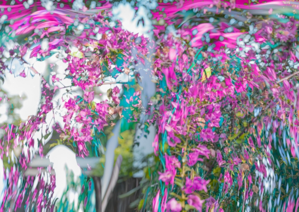 風吹起時的飄盪 - 愛達琳