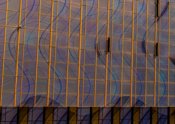 阿黛莉娜金(圖)