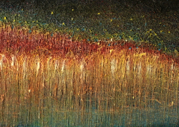 河堤上的螢火蟲(圖)