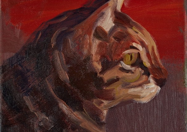 Friends' Paw Pals  No.3