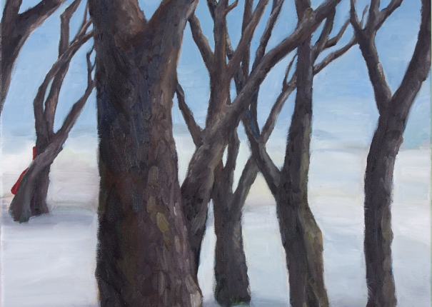 最近都沒有遇到小紅帽