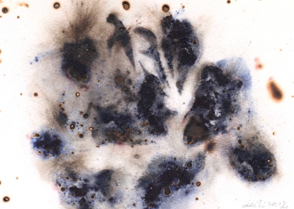 牡丹 / Peony 01(圖)