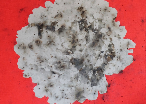 性感 / Sexy time(圖)