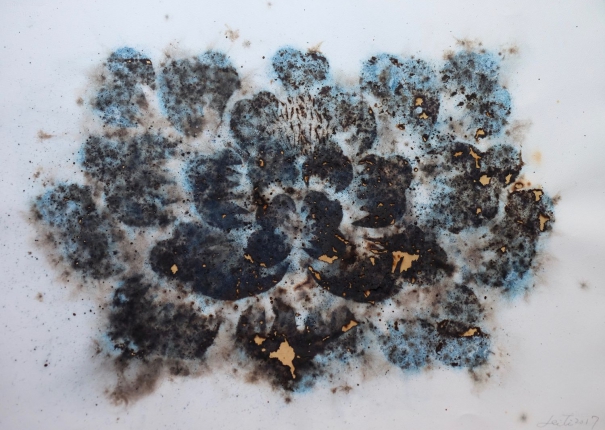 轉變 / Transform(圖)