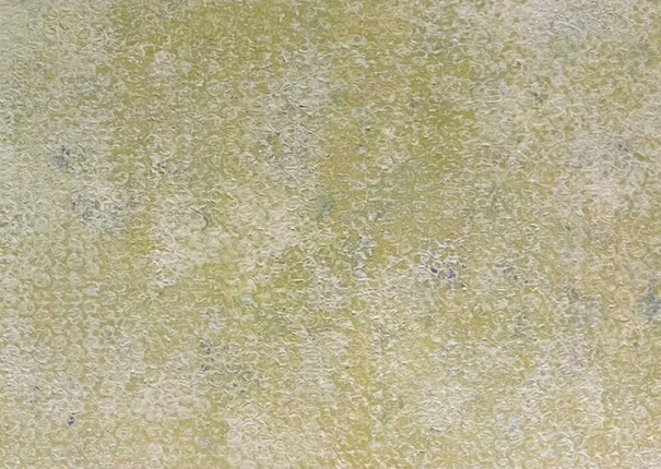 坦然的日子 11(圖)