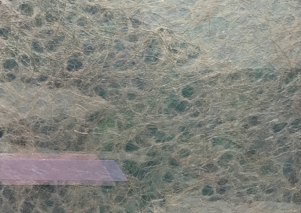 Message Embedding - 5