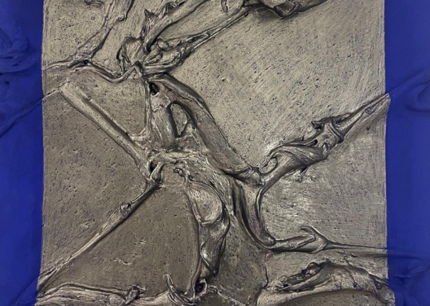 Mirror in Strange Times