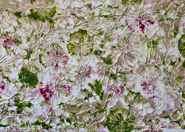 十年系列 2023-81-1(圖)