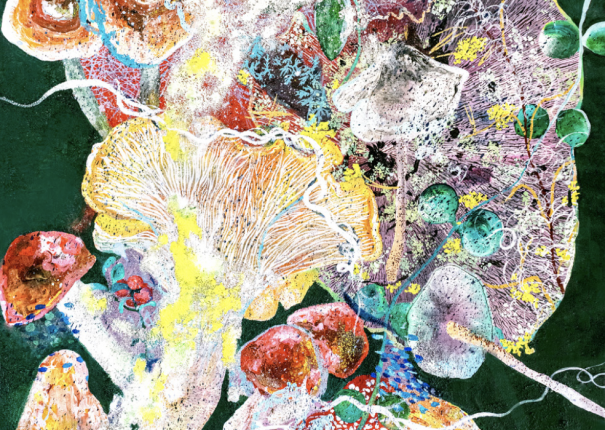 The Magic Mushroom(圖)