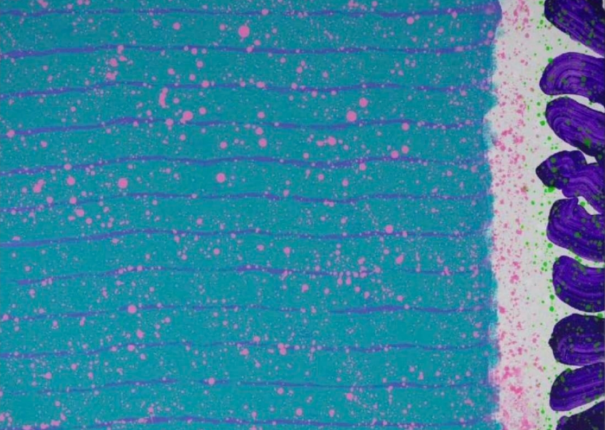 The Permanent Garden - 77