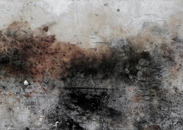 後當代表現主義 #200(圖)