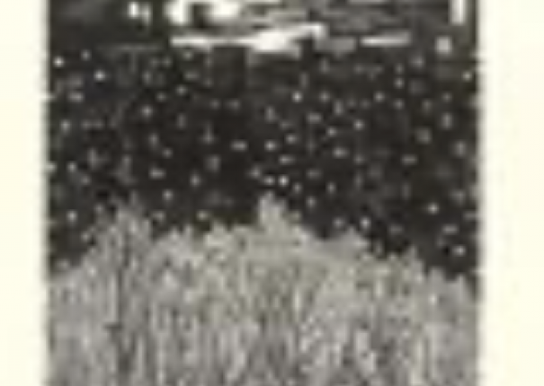 晚來天欲雪_ 靜夜聽雪(圖)