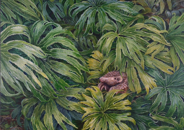 雙扇蕨與穿山甲(圖)