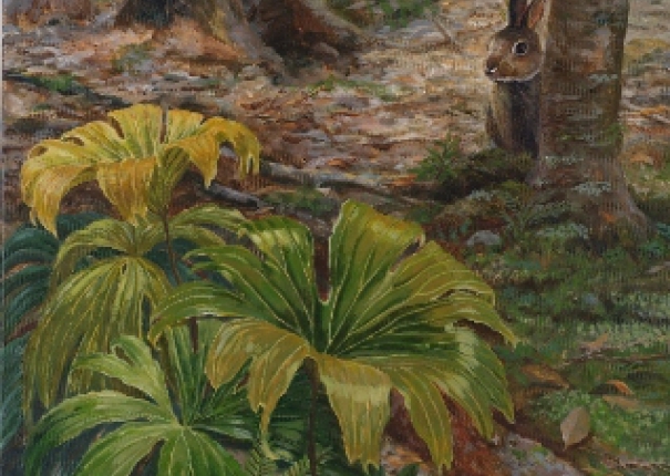 林間小野兔(圖)