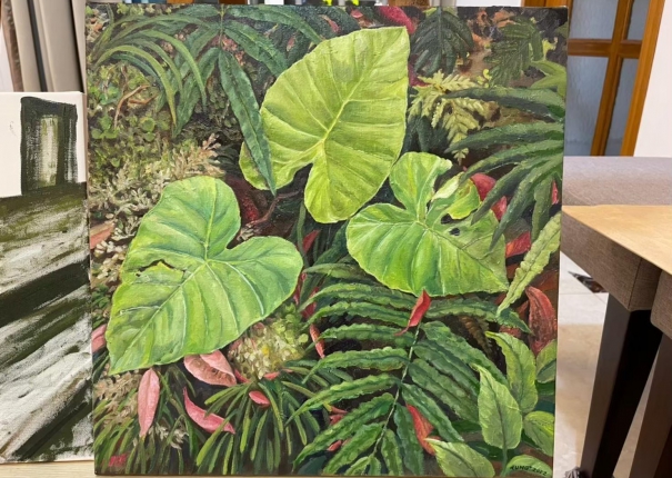 山間姑婆芋(圖)