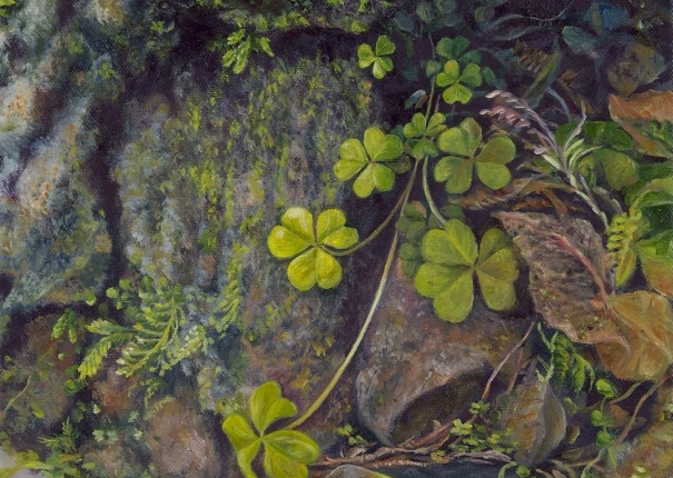 溪谷小風景(圖)