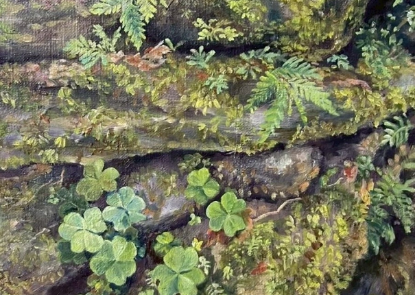 小小的幸運(圖)