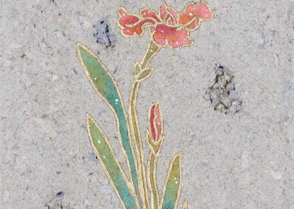 寫生花卉圖 08 蘭花(圖)