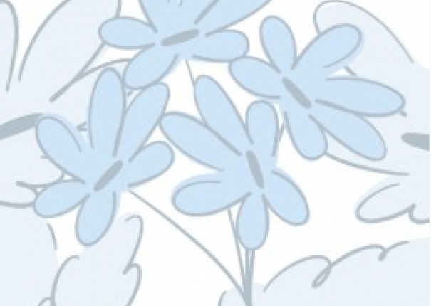 開放的事物(圖)