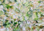 Gentle breeze 24-1
