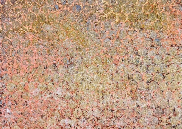 坦然的日子 31(圖)