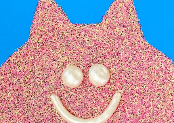 Close up / Cats / Turquoise blue flowers and Pink color